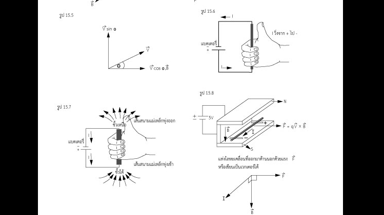 ภาพประกอบเวกเตอร์ - วาดภาพประกอบ/ดราฟจากภาพถ่าย ผลงานเป็น vector - 8