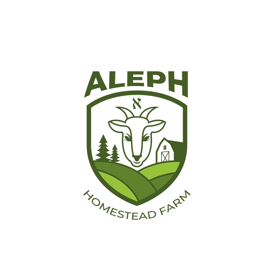 Logo - Desain Logo Professional SEHARI JADI!!! - 4