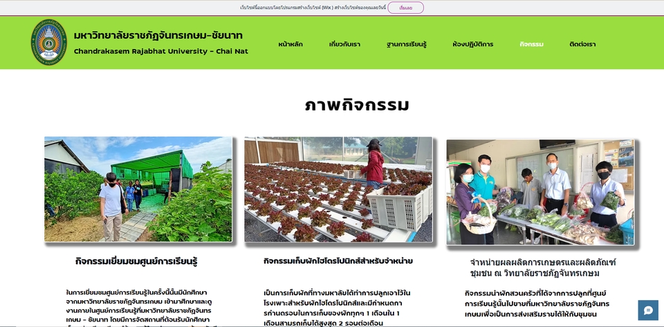 Web Development - รับสร้างเว็บไซต์ด้วย wix.com - 4