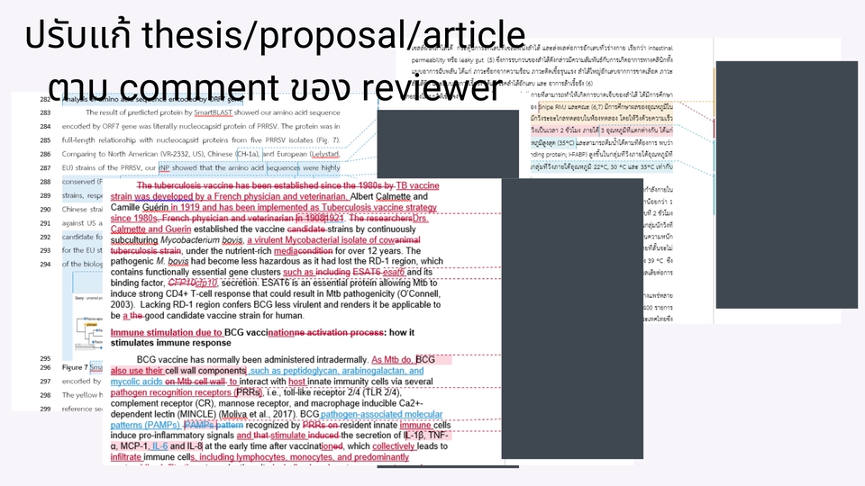 เขียนบทความ - รับสรุปและปรับแก้ วิทยานิพนธ์/thesis/บทความวิชาการ/publications TH-ENG - 2
