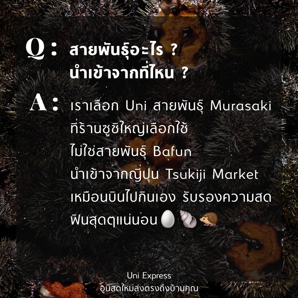 ผู้เชี่ยวชาญให้ความรู้เฉพาะด้าน - สอนทำแบนเนอร์ง่ายๆด้วยมือถือเครื่องเดียว และเทคนิคโดดเด้งบนโลกไอจี - 4