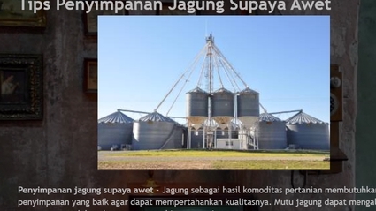 Penulisan Konten - Artikel Website SEO friendly dengan originalitas di atas 80% - 4