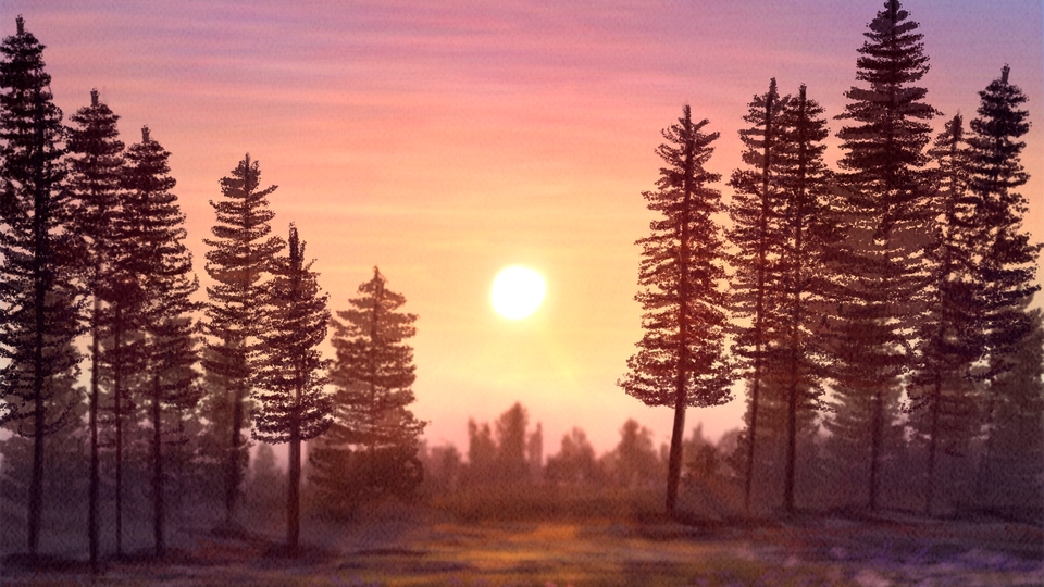 ทําวอลเปเปอร์โทรศัพท์ ต้นไม้เรียงรายในป่า บนพื้นหลังพระอาทิตย์ตก