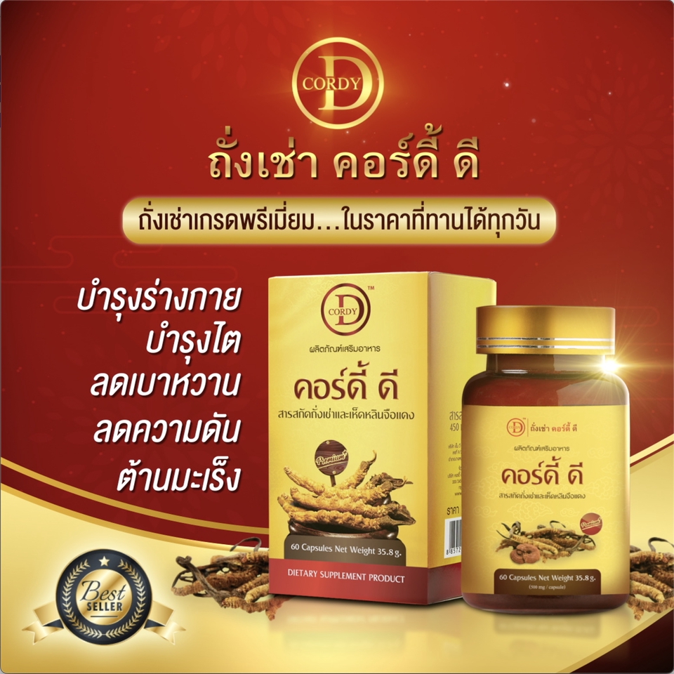 Motion Graphics - รับทำ Motion Graphic ทุกประเภท ! เติมสีสันให้งานของคุณมีชีวิตด้วย Motion Graphic ทักเลย! - 14