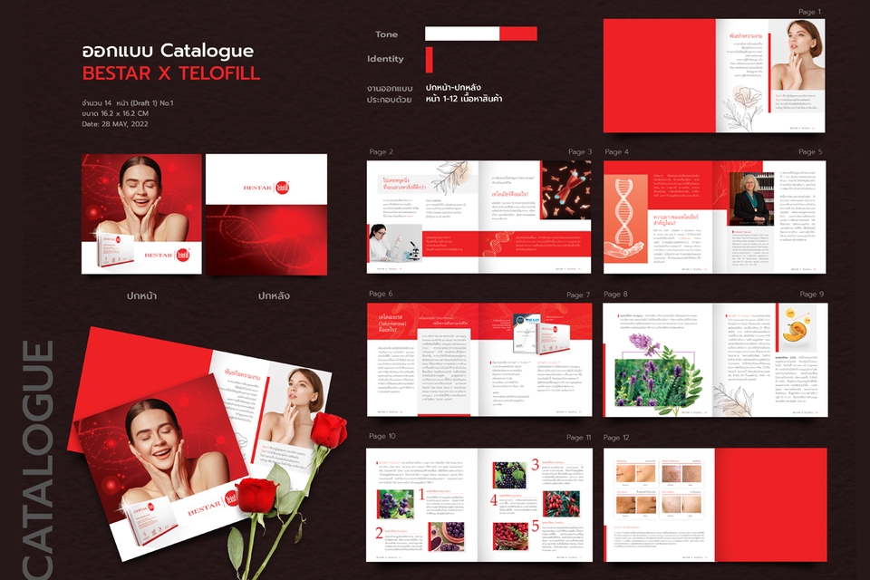 สื่อสิ่งพิมพ์และนามบัตร - " รับออกแบบโบว์ชัวร์ แผ่นพับ แค็ตตาล็อก สื่อสิ่งพิมพ์ทุกประเภท " - 6