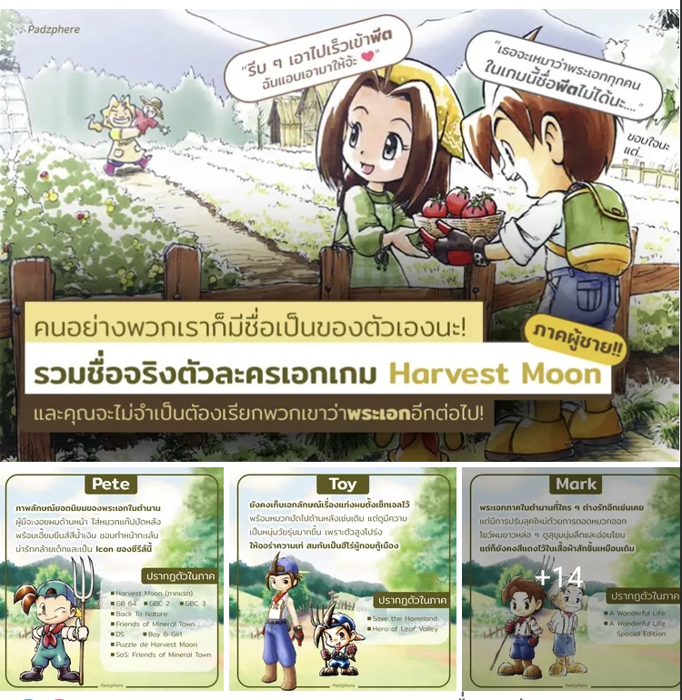 เขียนบทความ - เขียนนิยาย / เขียนบทความ / เขียนสคริปต์ Creative [Facebook, Website, Tiktok, Shorts, Reels] - 15