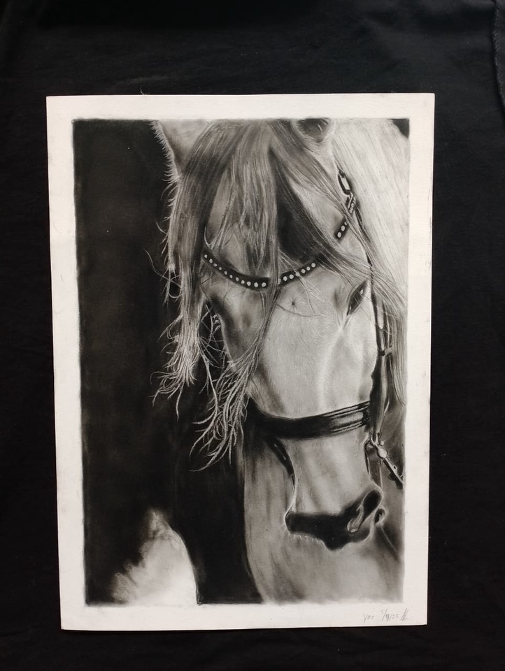 Jasa karikatur freelance, desain vektor wajah, lukisan wajah hitam putih, gambar karikatur, ilustrasi kuda dengan pensil