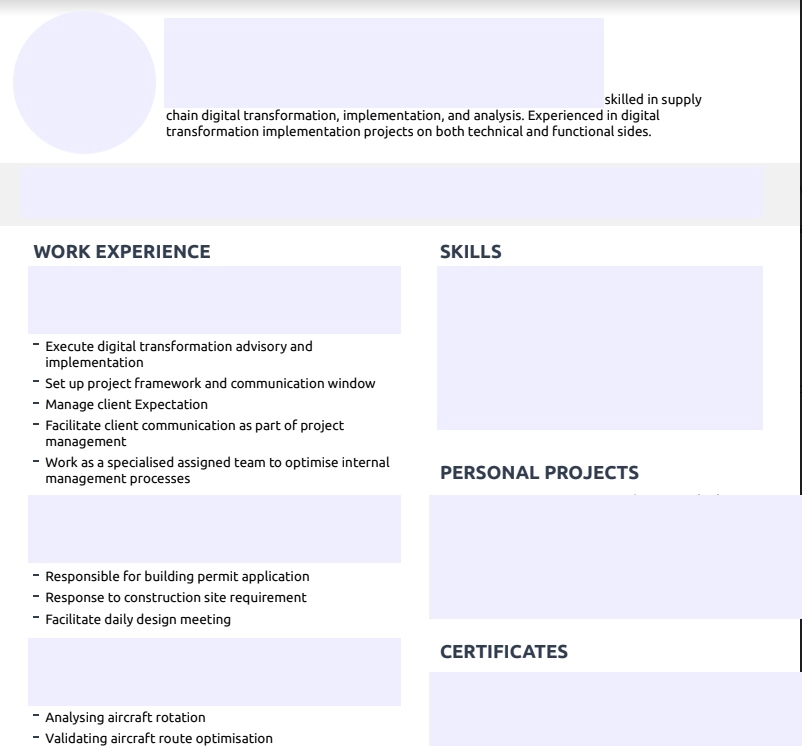 Portfolio & Resume - Professional Resume - 2