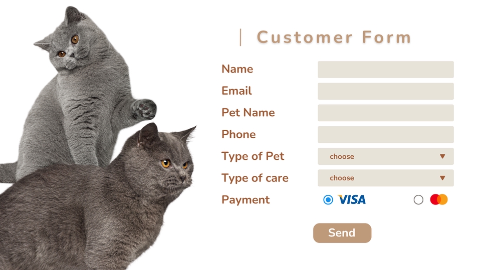 Web Development - Design Website - 11