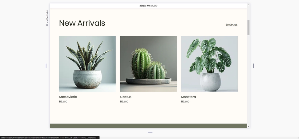Wordpress - ออกแบบเว็บไซด์ด้วย wix - 7