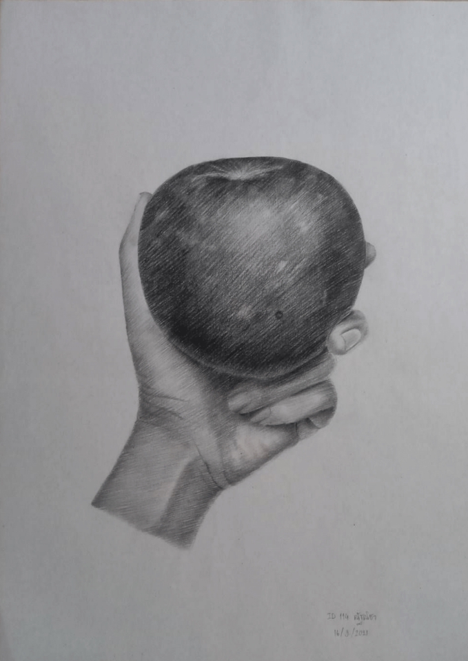 รับวาดภาพเหมือนภาพระบายสีดินสอผลแอปเปิ้ลในมือ