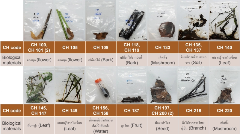 รับพิมพ์งาน รับทำ excel รับแปลงไฟล์ pdf รับทำรายงาน รับสืบค้นข้อมูล พนักงานคีย์ข้อมูล บริการพิมพ์งานทั่วไป รับจัดรูปเล่มรายงาน บริการจัดหน้าเอกสาร รับจัดรูปเล่มงานวิจัย