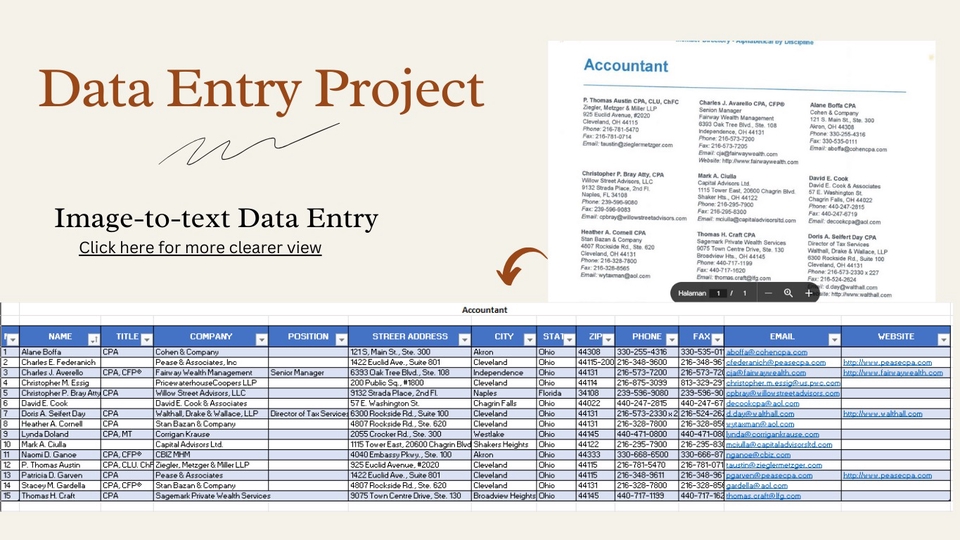Data Entry Input Examples Layanan Data Entri & Research dengan Pengelompokan & Filter Detail