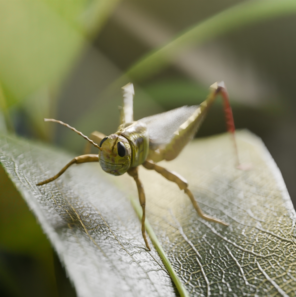 Jasa desain interior cafe minimalis untuk menambah daya tarik cafe