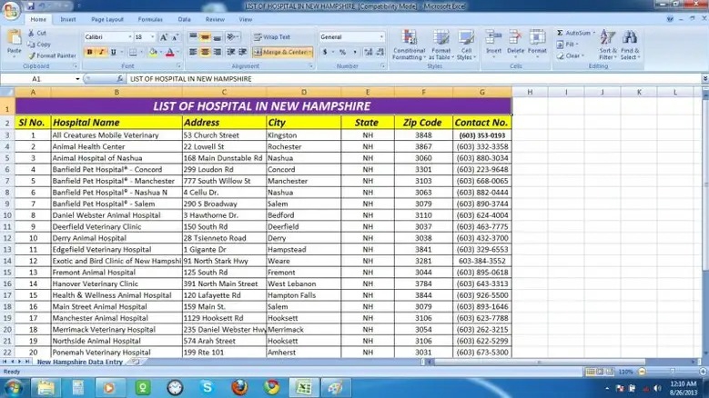 Jasa entri data excel untuk daftar rumah sakit di New Hampshire