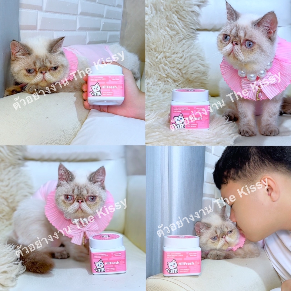 รับรีวิวสินค้า จ้างเน็ตไอดอล รีวิวสินค้า เน็ตไอดอลรีวิว รีวิวสินค้า tiktok จ้างรีวิว tiktok