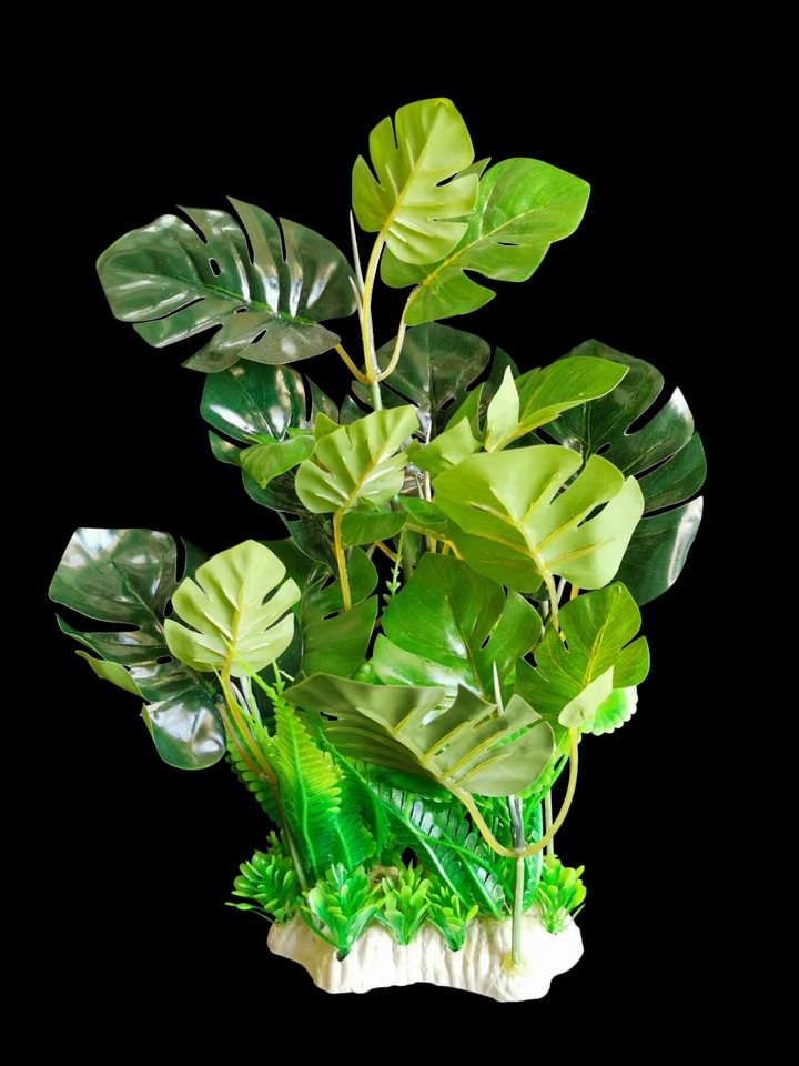 ไดคัท & Photoshop - ไดคัทฉากหลังออก - 12