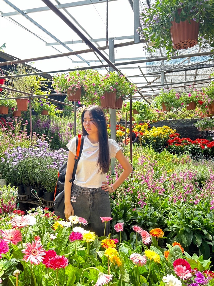 อื่นๆ - ไปทำธุระเป็นเพื่อน - 3