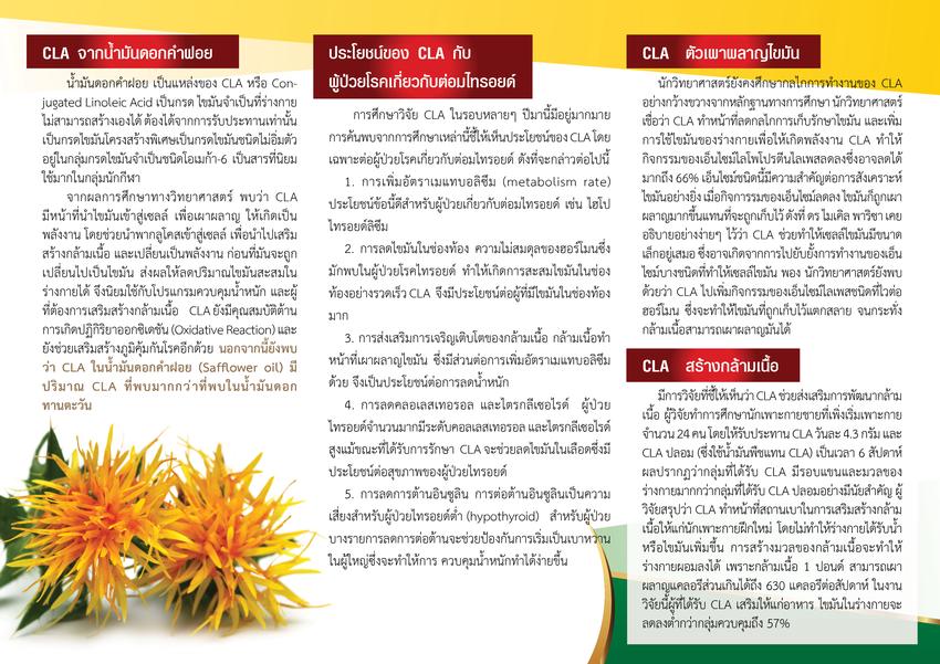 เขียนบทความ - เขียนโบว์ชัวร์ แผ่นพับ - 5