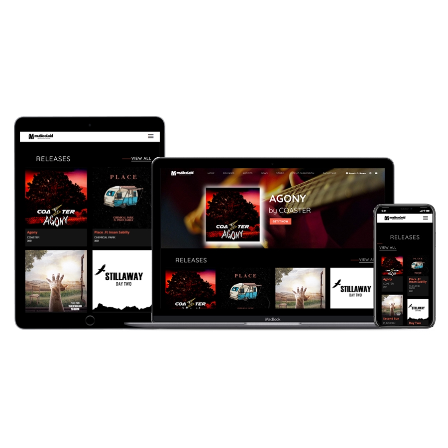 Web Development - Jasa Pembuatan Website - Wordpress Responsive - 9