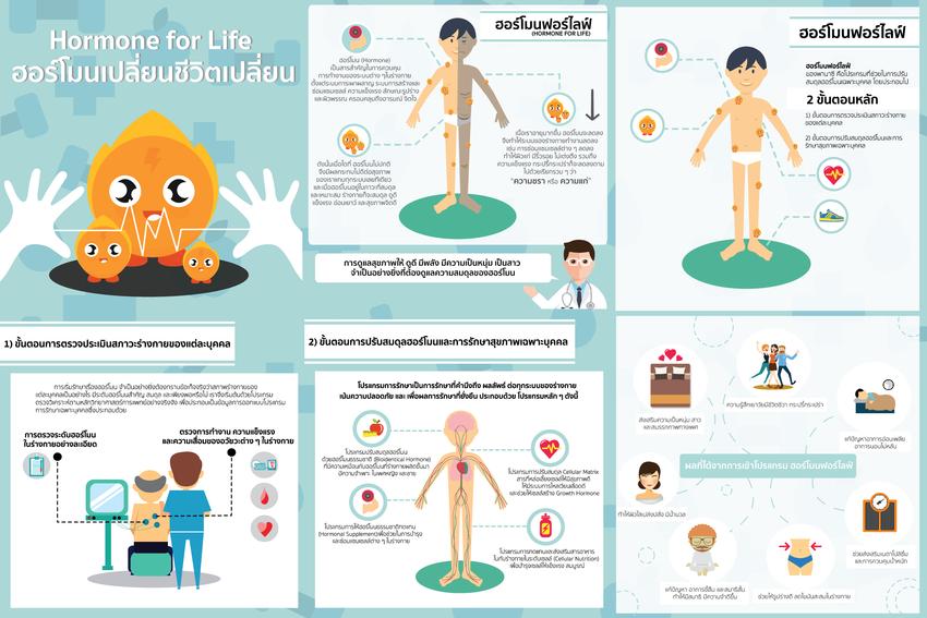 Infographics - รับออกแบบ Infographic / Motion graphic - 2