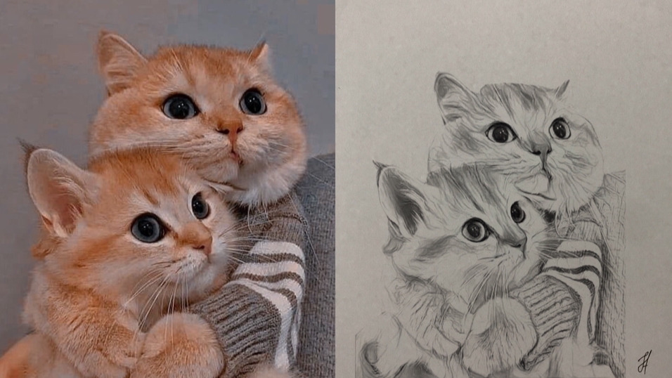 Gambar dan Ilustrasi - Jasa Gambar Hitam Putih hanya 2 jam saja - 2
