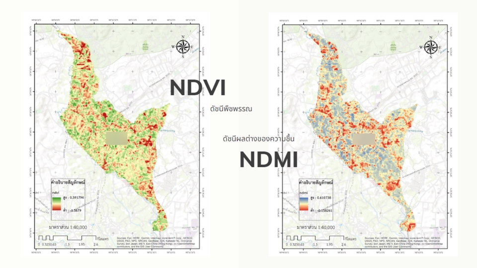 รับวิเคราะห์ข้อมูลสถิติ วิเคราะห์ดาต้า วิเคราะห์ข้อมูล NDVI และ NDMI