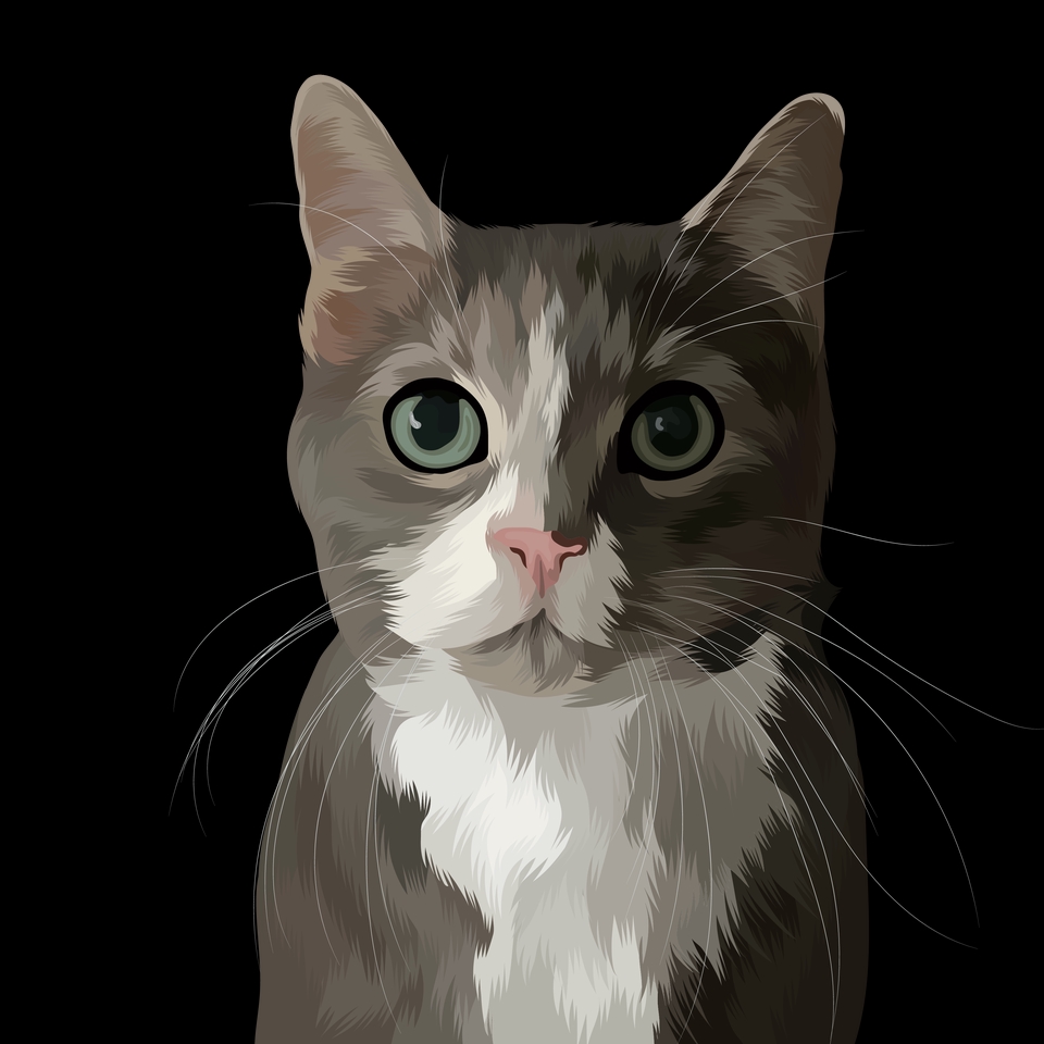 Ilustrasi kucing abu-abu putih dengan mata hijau, gambar kucing lucu untuk desain