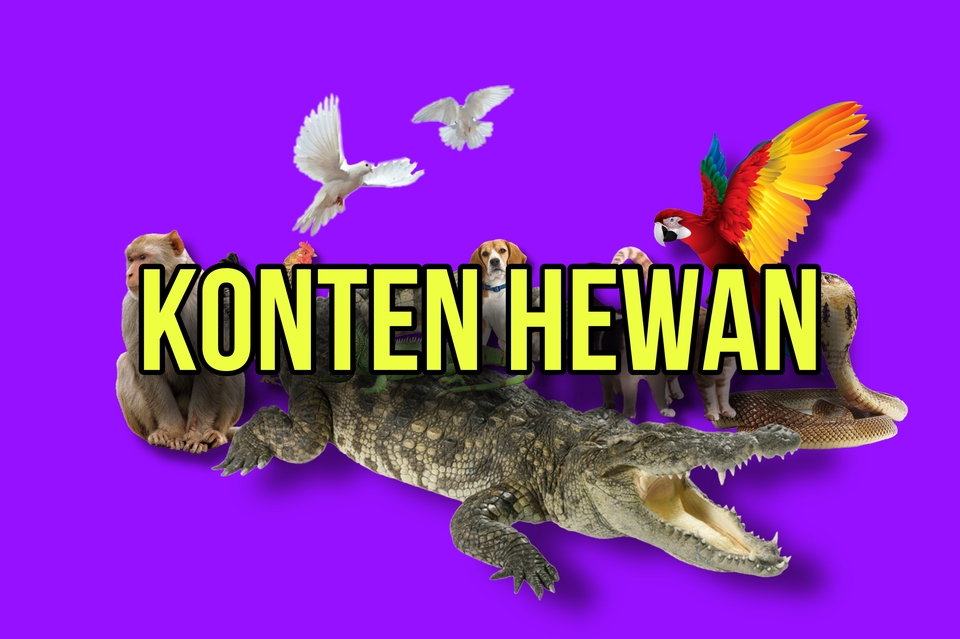 Penulisan Konten - Daily Content Maker - 6