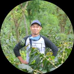 adjie84