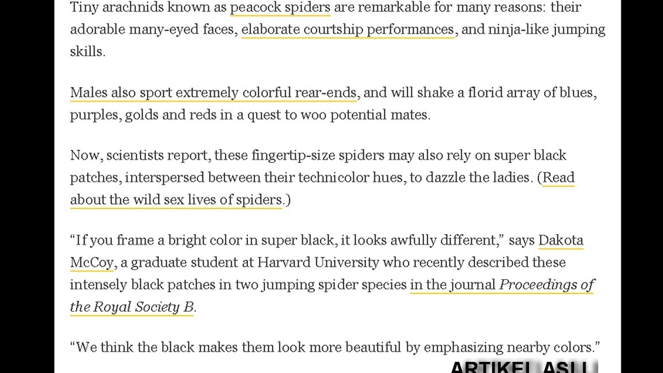 Penerjemahan - Penerjemah Eng-Ind Ind-Eng - 5