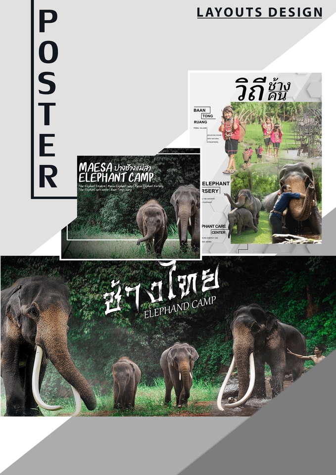 สื่อสิ่งพิมพ์และนามบัตร - Poster Design ,ป้ายโฆษณา จัดวาง Layout | Online & Offline | - 3