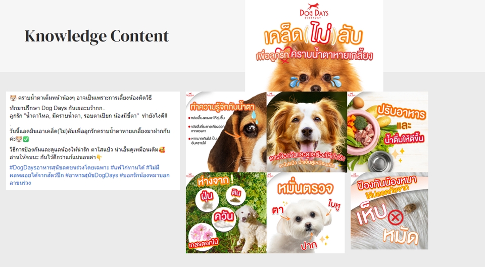 Creative & Content Marketing - Value Content & Copywriting - 4