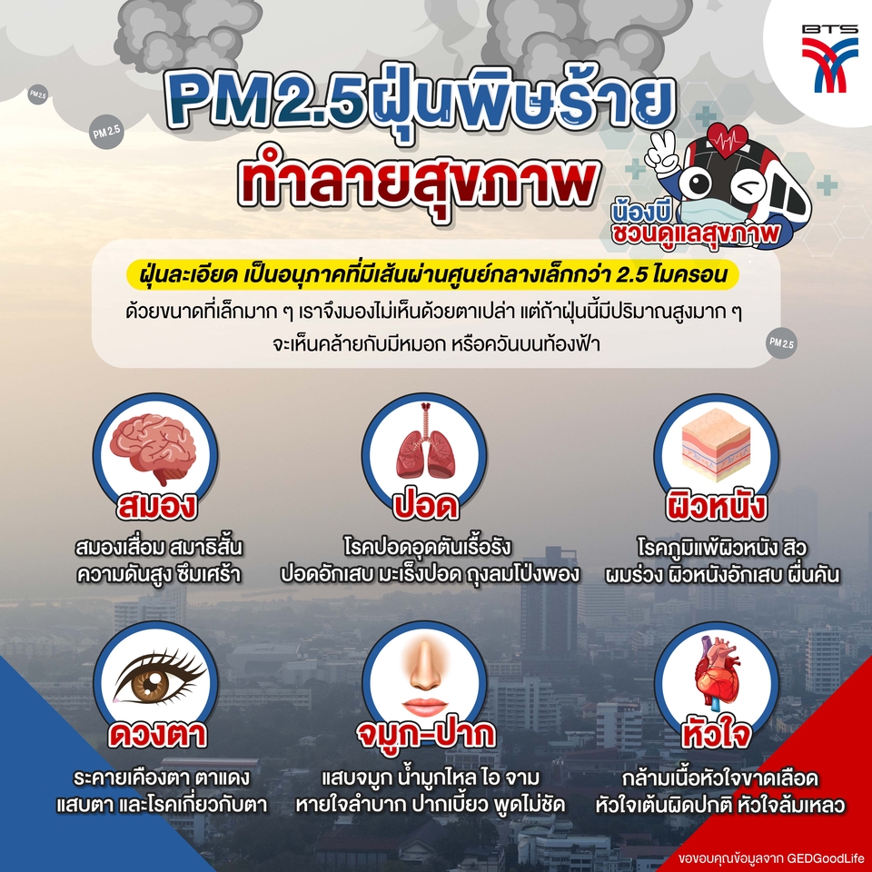 Infographics - รับออกแบบ Infographic และสื่อต่าง ๆ สไตล์น่ารัก ตรงตามบรีฟ ราคาเป็นกันเองค่า 🙇🏻♀️🫶🏻 - 28