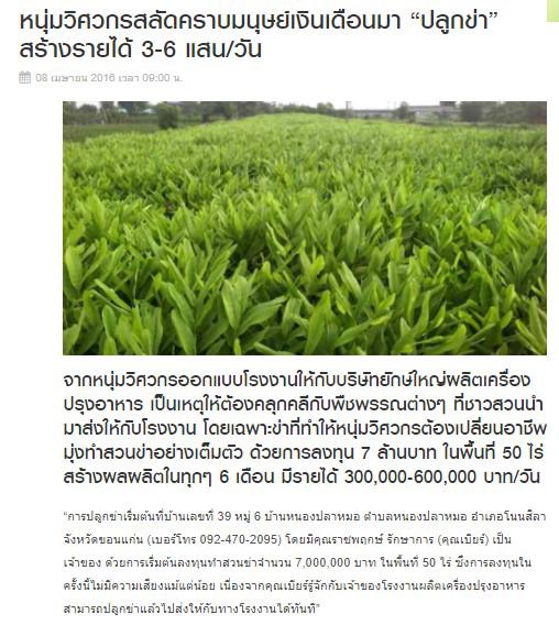 เขียนบทความ - เขียนบทความตามหลัก SEO-แคปชั่นสินค้า-AD การขาย เหมารายเดือน/ชิ้น - 6