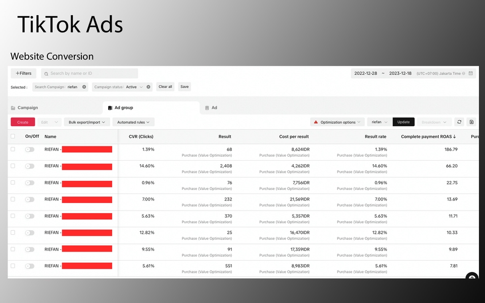 Digital Marketing - Paid Marketing Channel Optimization (META, Google, and TikTok Ads) & Ecommerce Ads - 6