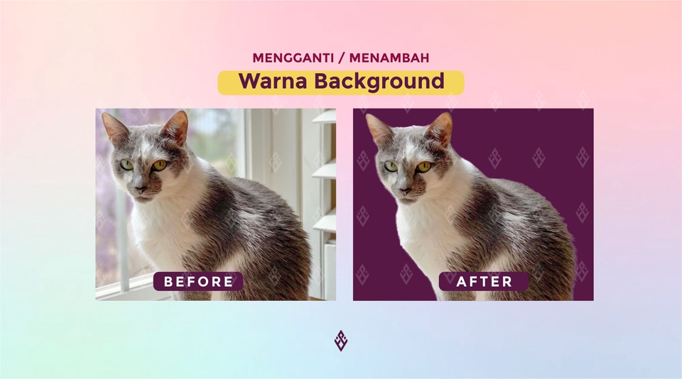 Edit Gambar & Photoshop - Edit & Hapus 2 Foto Background Cuman 30 ribu - 5