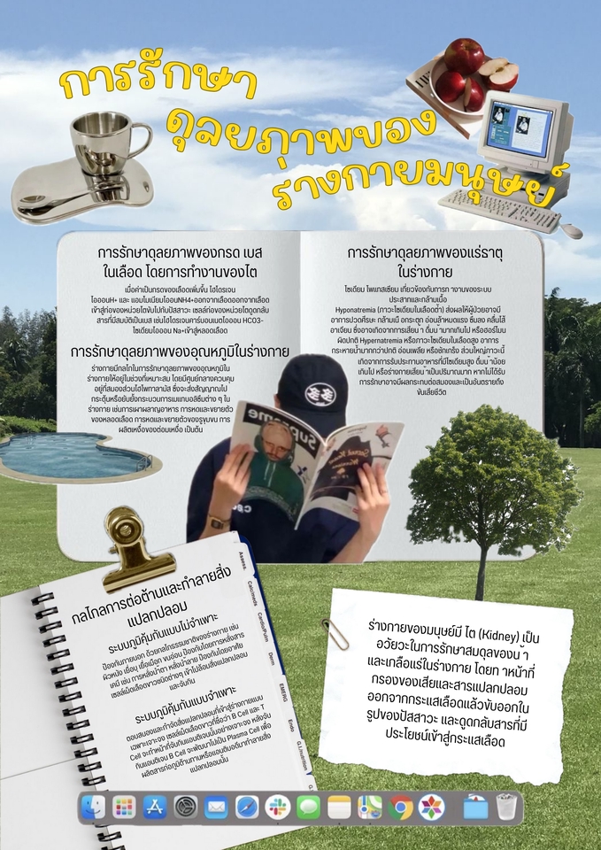 Infographics - Educational infographics - 4