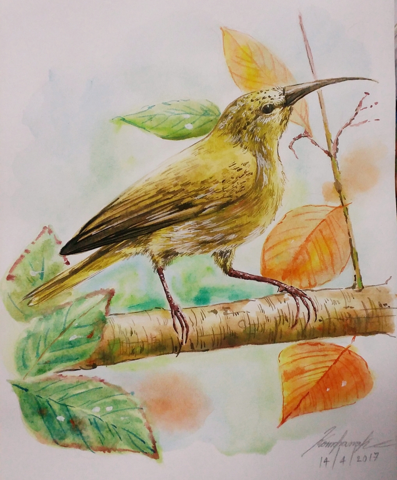 ภาพวาดนกสีน้ำตาลบนกิ่งไม้ สั่งทำของขวัญวันเกิด ของขวัญแฮนเมด