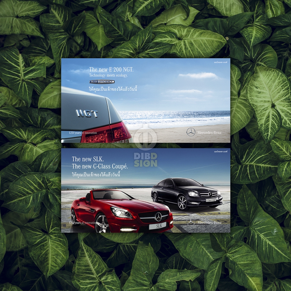ออกแบบแบนเนอร์ facebook โฆษณา mercedes benz c-class และ e-class
