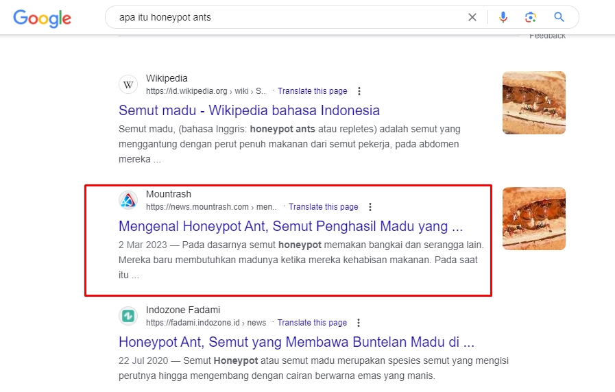 Penulisan Konten - Artikel SEO Murah Pengerjaan Cepat (Indonesia/English) - 8