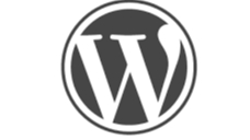 Website full wordpress
