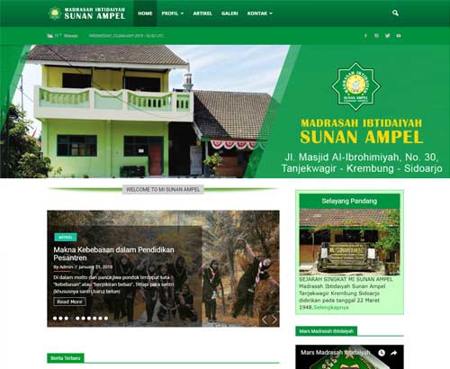 Web Development - Membuat Website Wordpress, 1-2 Hari Jadi - 5