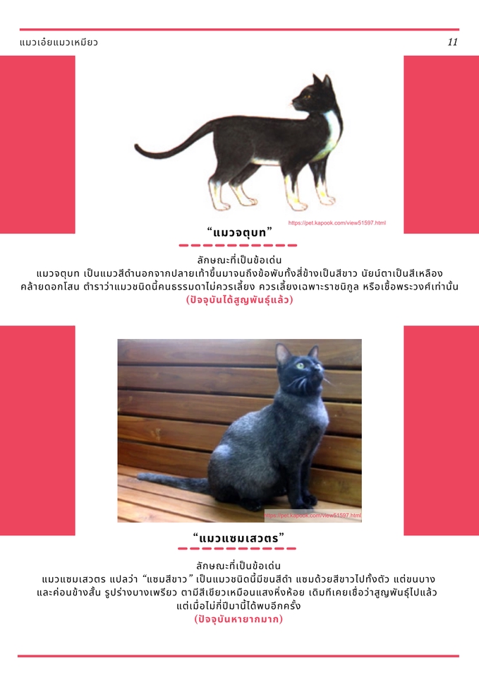 รับพิมพ์งาน พิมพ์เอกสาร งานวิจัย รับทำรายงาน รับจัดหน้าเอกสาร รับจัดรูปเล่มวิทยานิพนธ์