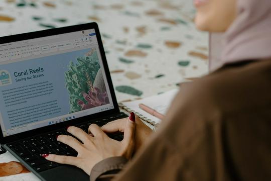 Jasa Pembuatan atau Penulisan Artikel Bahasa Indonesia dan Inggris