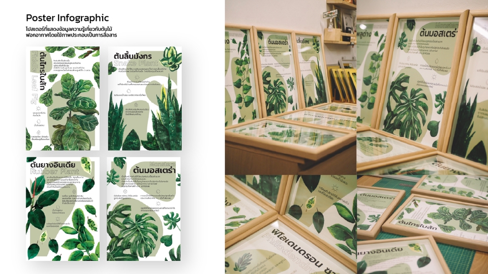 รับวาดภาพประกอบ พืช ใบไม้ สีน้ำ วาดภาพประกอบนิทาน วาดภาพดิจิตอล