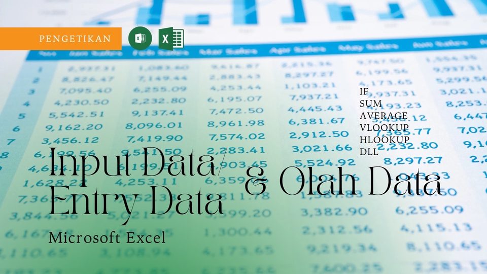Jasa Input Berbagai Jenis Data Entry Online - Input Data | Olah Data Microsoft Excel