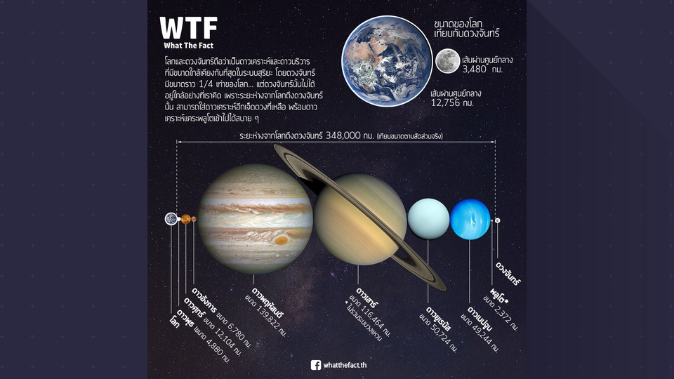 Infographics - Infographic ระดับ PRO ย่อยง่าย คุยง่าย แบบคนโต ๆ กันแล้ว ;) - 8