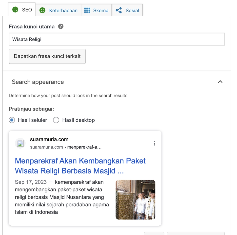 Search Engine Optimization (SEO) - Jasa SEO on-page Website Wordpress - 3