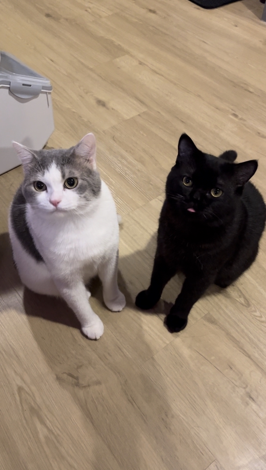 จ้างเน็ตไอดอลรีวิวสินค้า รับรีวิวสินค้า บล็อกเกอร์รีวิว รีวิวสินค้า tiktok influencer รีวิว